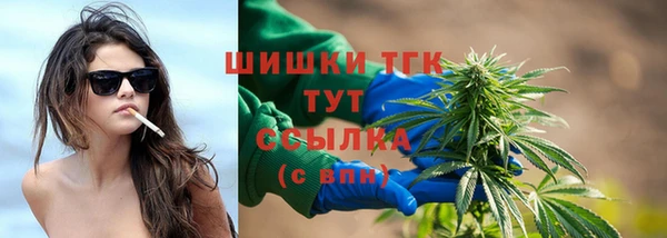 сатива Корсаков