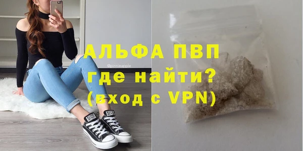 сатива Корсаков