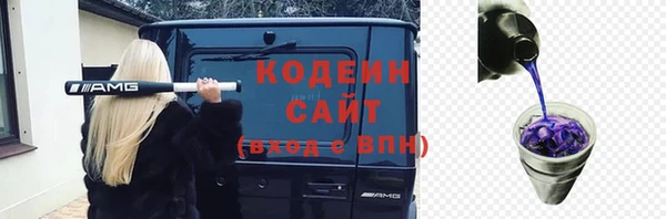 СК Коряжма