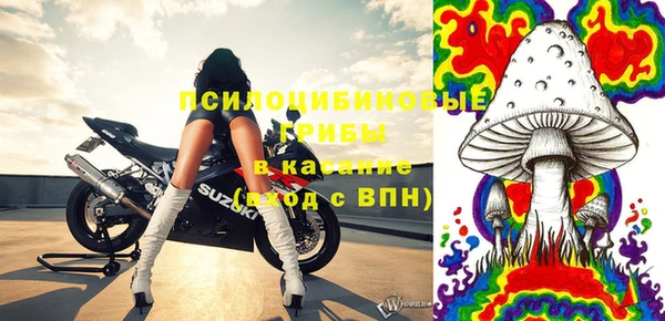 сатива Корсаков