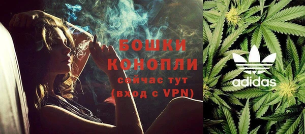 сатива Корсаков