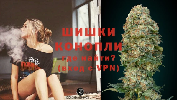 сатива Корсаков
