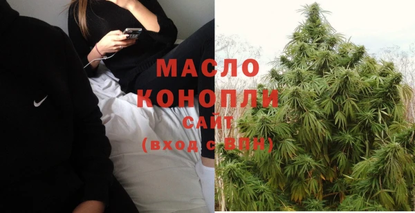 сатива Корсаков