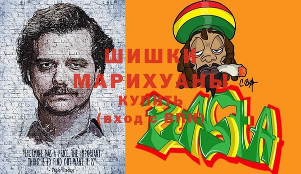 сатива Корсаков