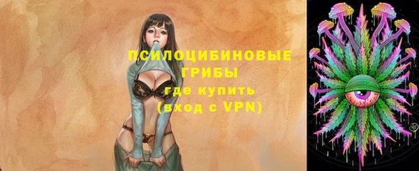 сатива Корсаков