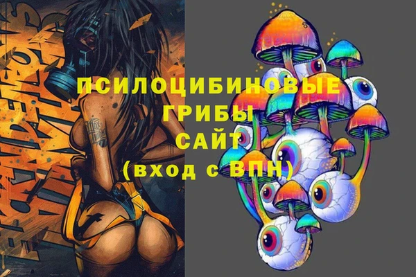СК Коряжма