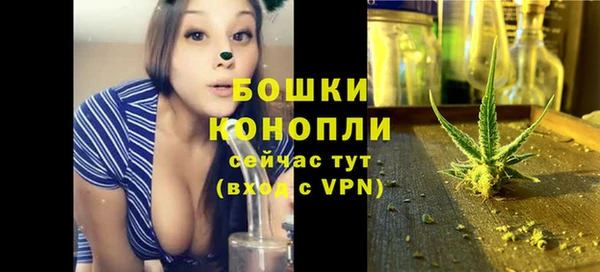 СК Коряжма