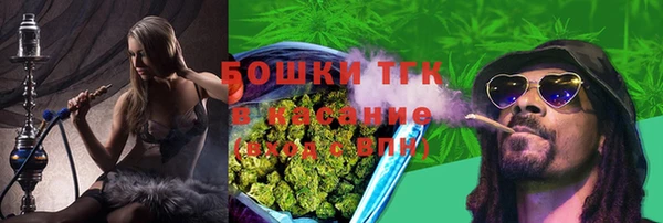 сатива Корсаков