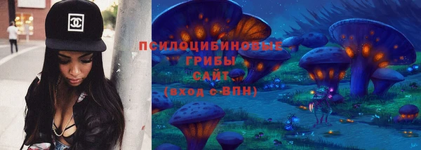 сатива Корсаков