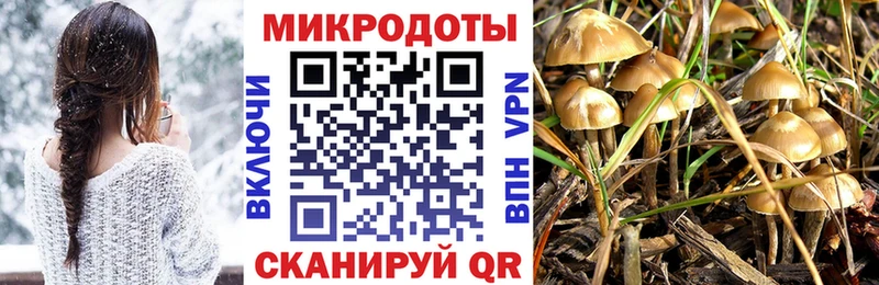 Галлюциногенные грибы MAGIC MUSHROOMS  сколько стоит  Щёлково 
